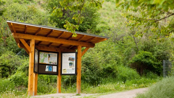 Photo: Patrick Record