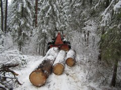 low impact logging