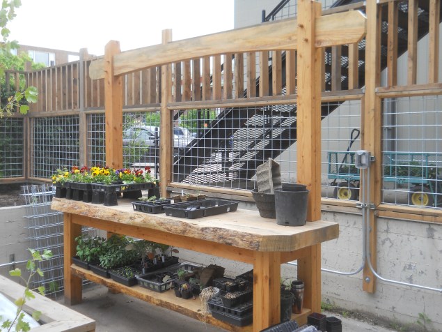 University potting table